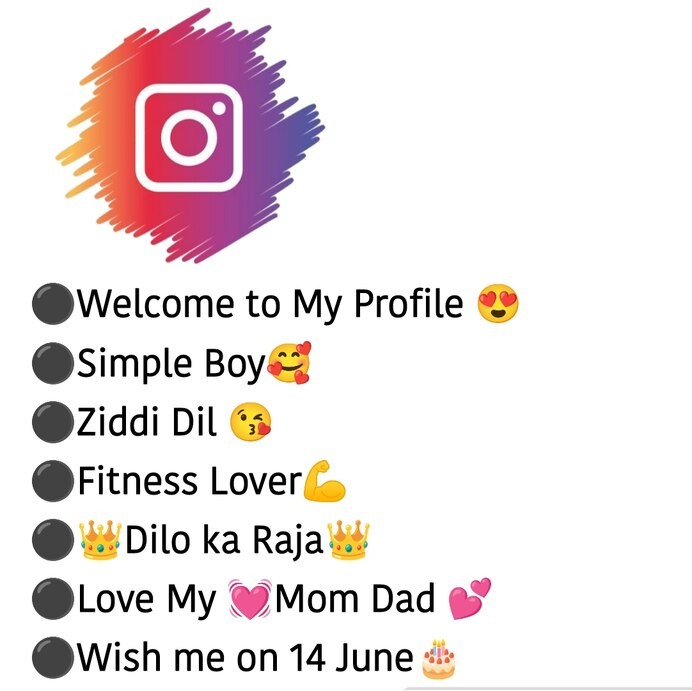 styles instagram bio