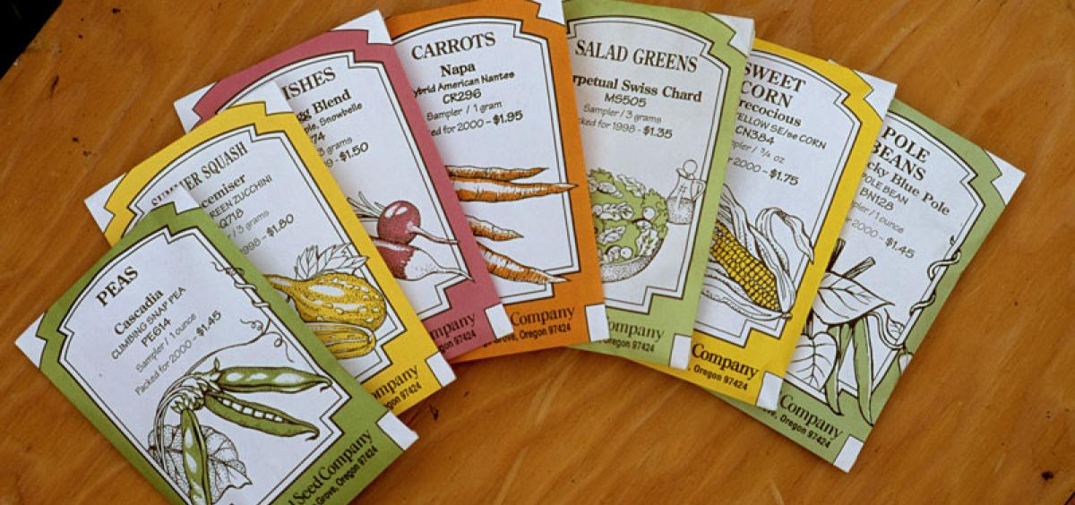 Seed Packets Return Gifts