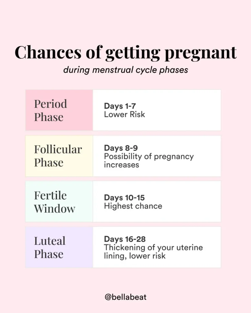 understanding ovulation cycle